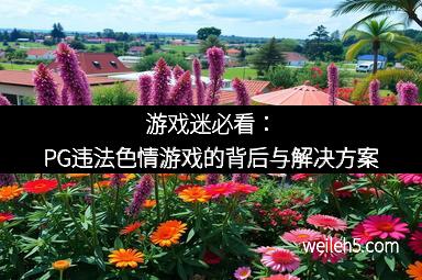 游戏迷必看：PG违法色情游戏的背后与解决方案